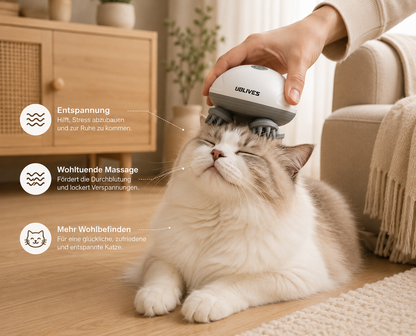 Premium Head Massager for Cats