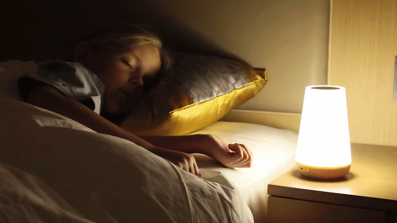 Premium Remote-Controlled LED Night Light