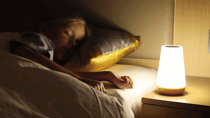 Premium Remote-Controlled LED Night Light